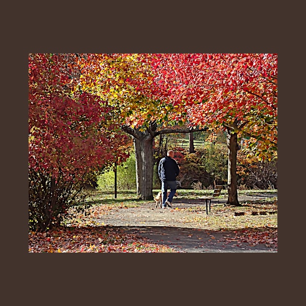 Man Walking Dog in Autumn Park by SusanSavad
