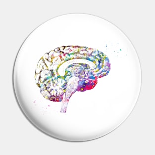 Brain anatomy Pin