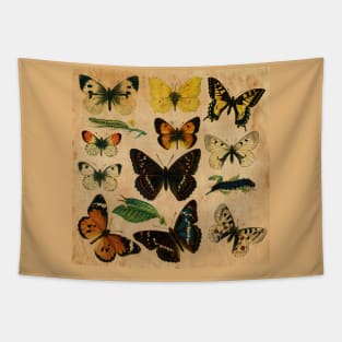 Butterfly Tapestry