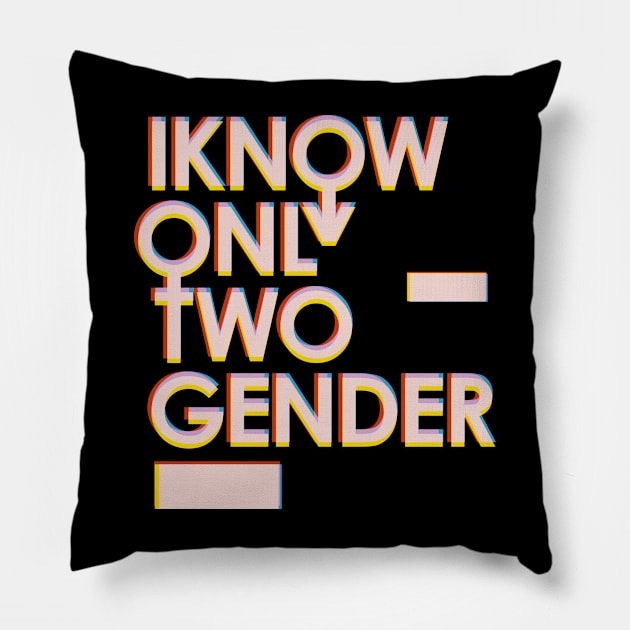 gender norm Pillow by lebasota