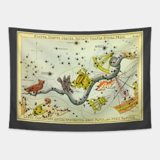 Hydra and Surrounding Constellations from Urania's Mirror Tapestry