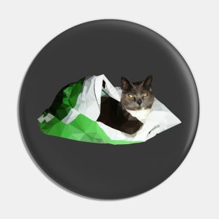 Cat in a bag Pin
