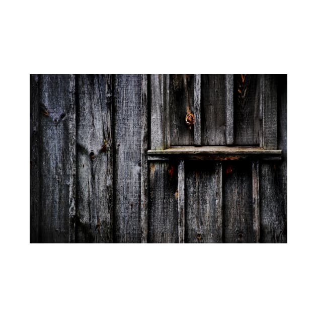 Barn Detail by LaurieMinor