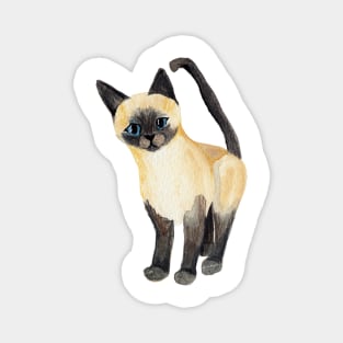 Saucy Siamese Kitten Magnet