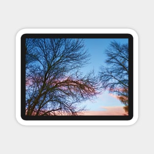 Photo of Leafless Branches Against Morning Sky Magnet