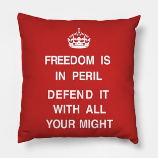 Defend Pillow