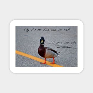 Why did the duck cross the road... Magnet