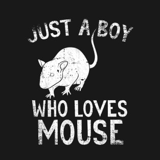 Just A Boy Who Loves Mouse T-Shirt