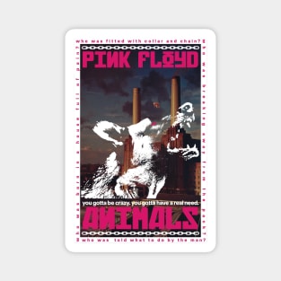 PINK FLOYD ANIMALS Magnet