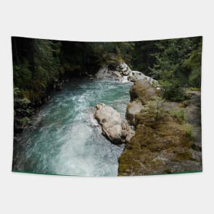 Emerald River Forest Tapestry