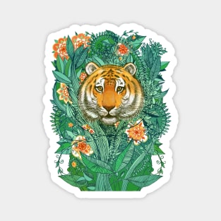 Tiger Tangle in Color Magnet