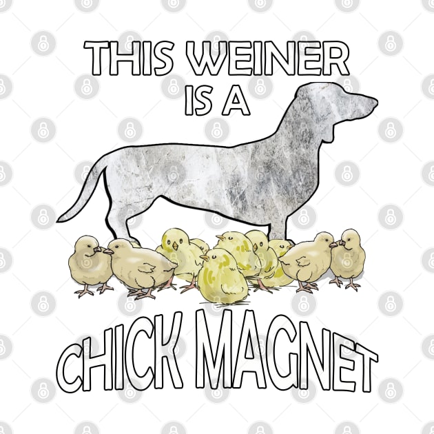 Dachshund Lover Cute Funny Doxie Quote This Weiner Is A Chick Magnet by tamdevo1