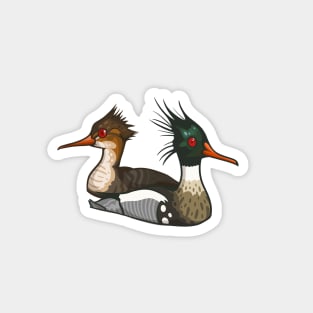 Red-Breasted Merganser Magnet