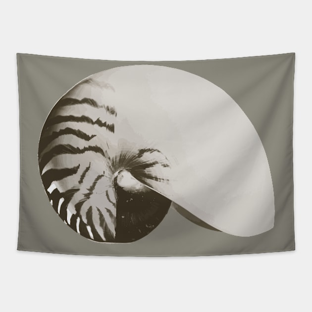 Nautilus Shell Tapestry by Xilie