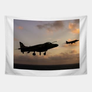 Royal Navy Sea Harriers Tapestry