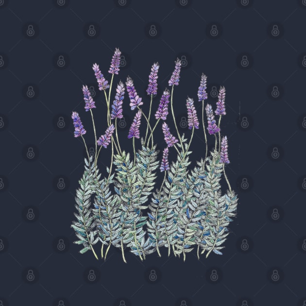 Lavender, Illustration by JessicaRose