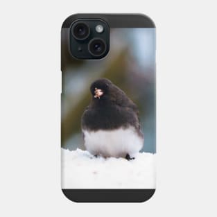 Dark-eyed Junco In The Snow Phone Case