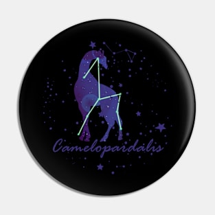 Giraffe Constellation Pin