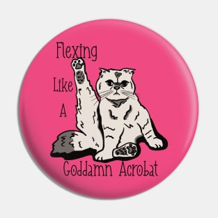 Karma Cat in Color Pin