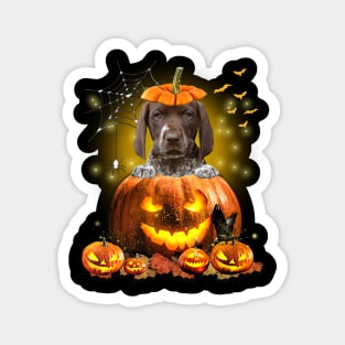 German Shorthaired Pointer Spooky Halloween Pumpkin Dog Head Magnet