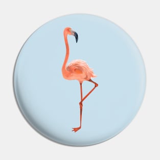 Cute Flamingo on the beautiful beach Pin