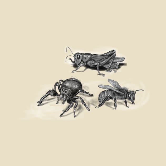 insects illustration, bee, spider and grasshopper by myhovercraft