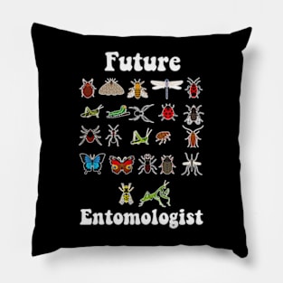 Future Entomologist - Entomology Insect Lover Bug Collector Pillow