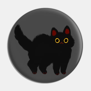 fluffy black cat Pin