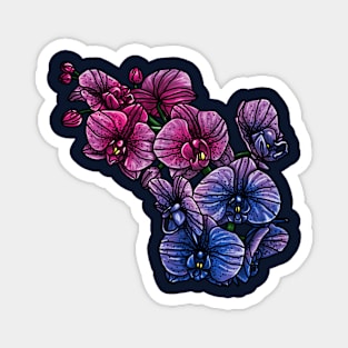 Bi Orchids Magnet