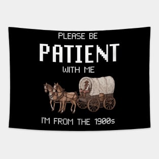 Please Be Patient With Me I'M From The 1900S Tapestry