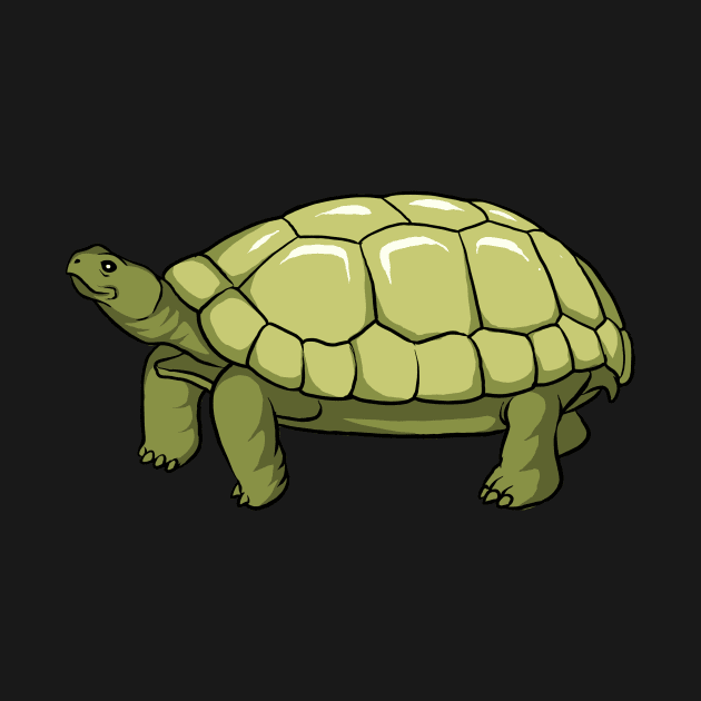 Tortoise by fromherotozero