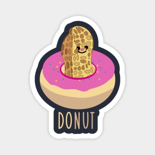 Donut and nut (b) Magnet