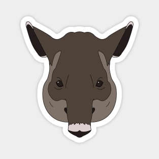 Tapir Magnet