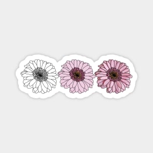 Three Gerberas Floral Drawing Magnet