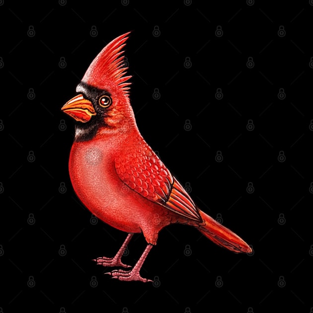 Red Cardinal bird cute cardinal cardinal lover by Artardishop