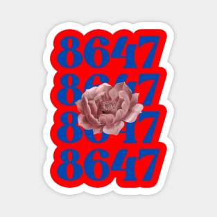 8647 Magnet