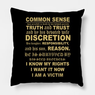 The Death of Common Sense Notice Pillow