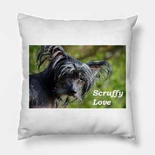 Scruffy Love Pillow