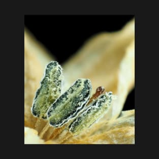 Hot chili pepper flower under the microscope T-Shirt