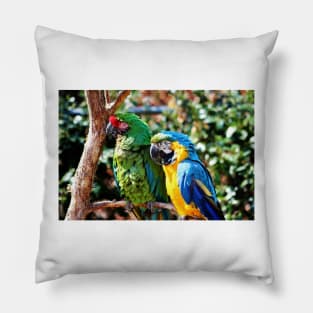 Macaw Parrots Pillow