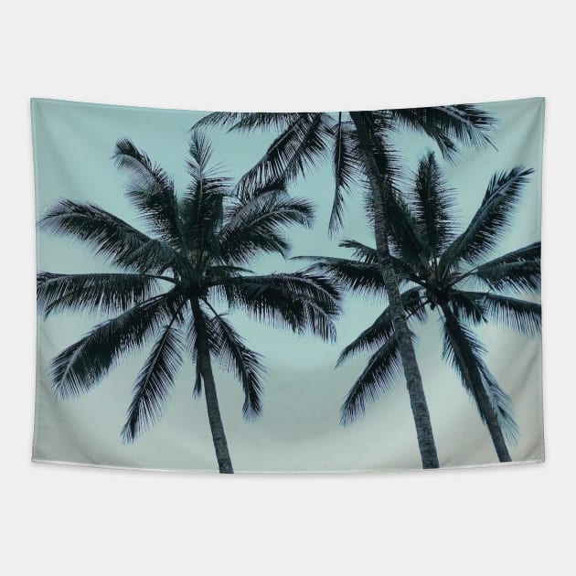 Palm Trees By the Beach Tapestry by AlexandraStr