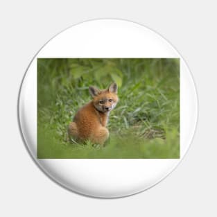 Red fox kit in the grass Pin