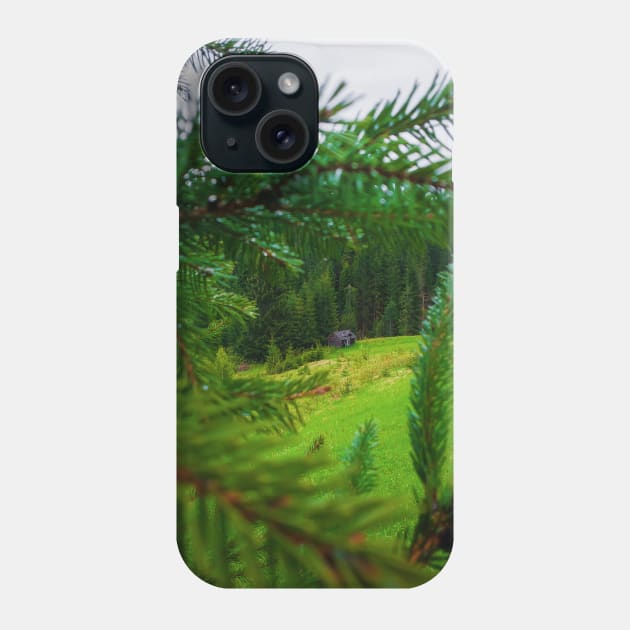 Old house in the forest Phone Case by psychoshadow