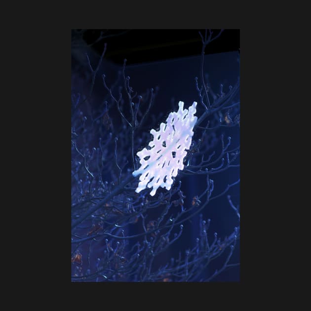 snowflake in blue 6 by DlmtleArt