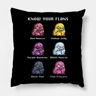 Know Your Flans Pillow