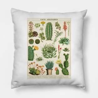 Floral Cacti Succelents Pillow