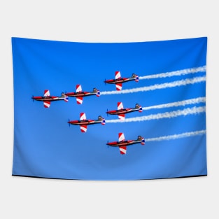 RAAF Roulettes Tapestry