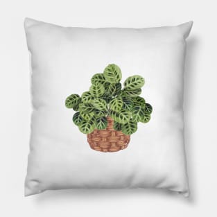 Prayer Plant In Basket Pillow