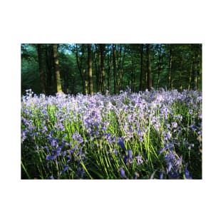 Bluebell Evening Walk T-Shirt