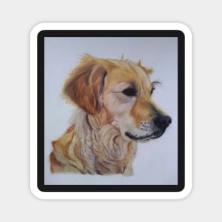 Portrait of a Golden Retriever Dog Magnet